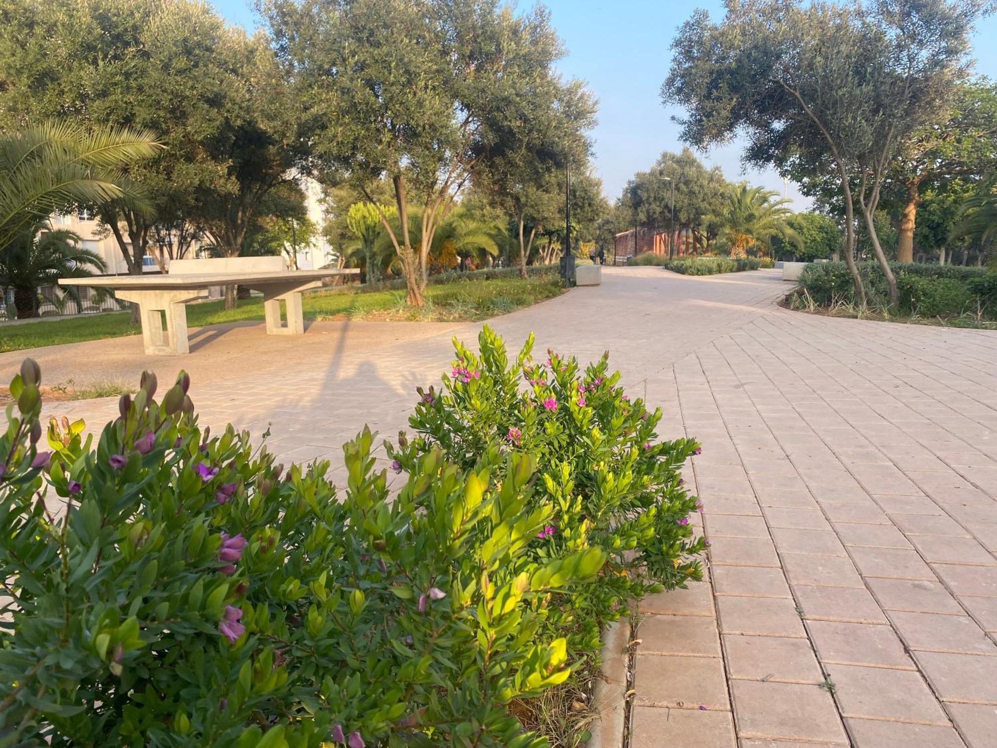Cosy Greeny 3 Bdr - Downtown Near Oasis Train And Tramway คาซาบลังกา ภายนอก รูปภาพ